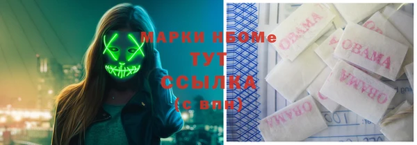 сатива Алексеевка